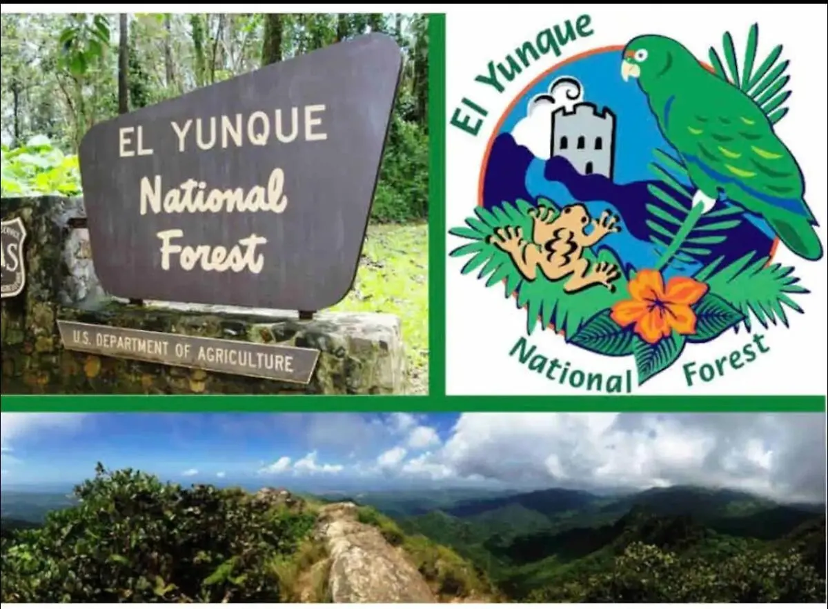 Steps From Stunning Beaches, Near El Yunque And Carabali Luquillo